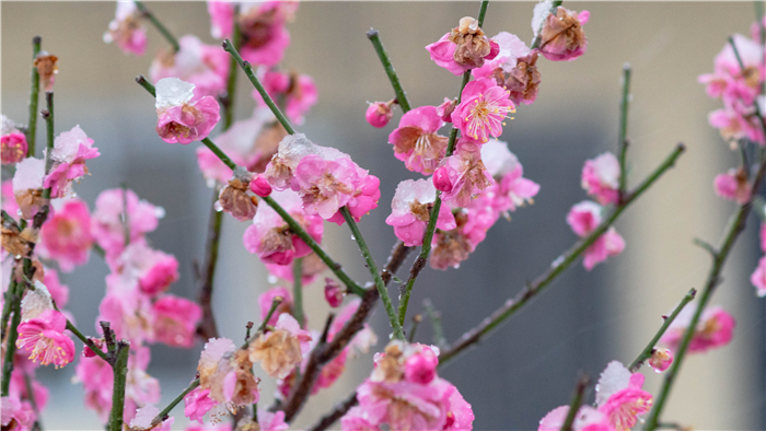 1604649395963691.png 图片2.png