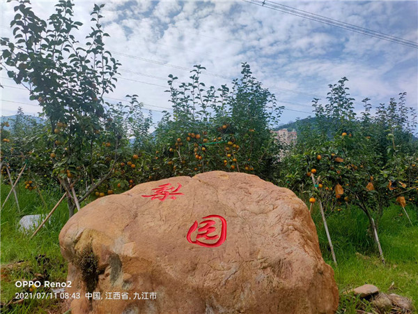 1627269616575034.jpg 图片1.jpg